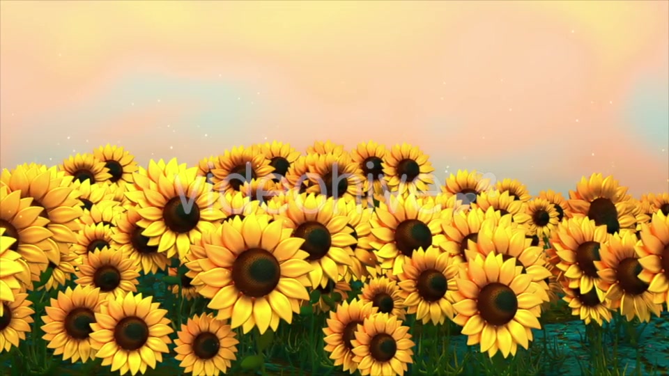 Sunflower Field Videohive 18760728 Motion Graphics Image 8