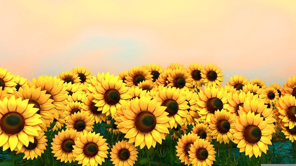 Sunflower Field - Videohive 18760728 Download