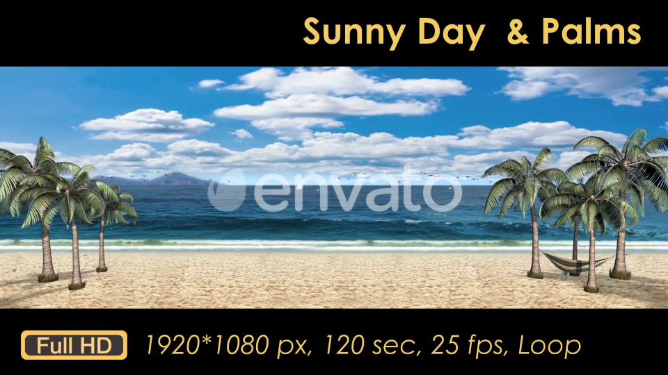 Sunny Day Palm Trees On The Beach Videohive 21608393 Motion Graphics Image 10