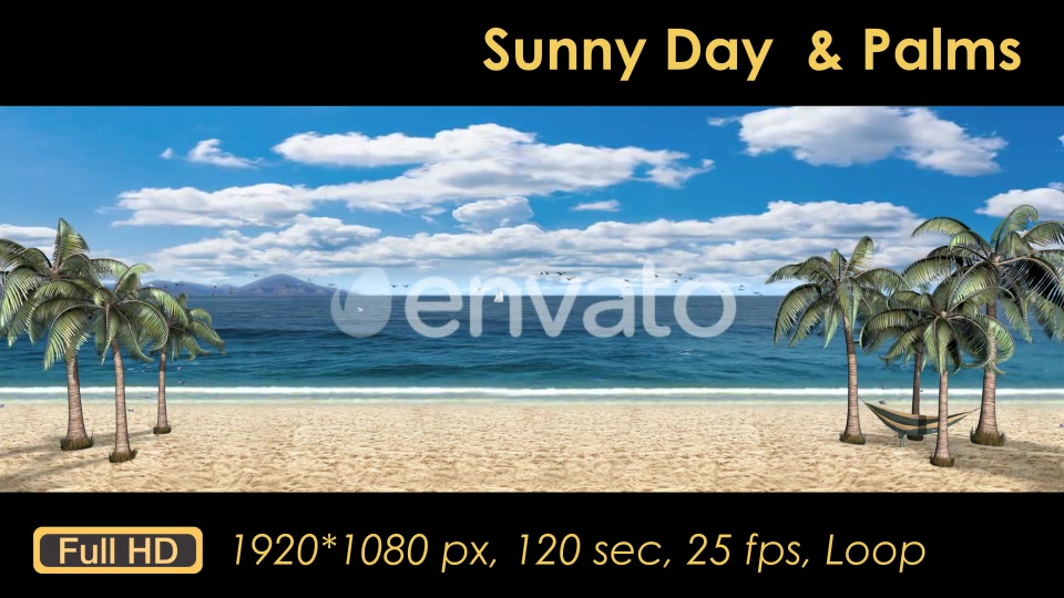Sunny Day Palm Trees On The Beach Videohive 21608393 Motion Graphics Image 11