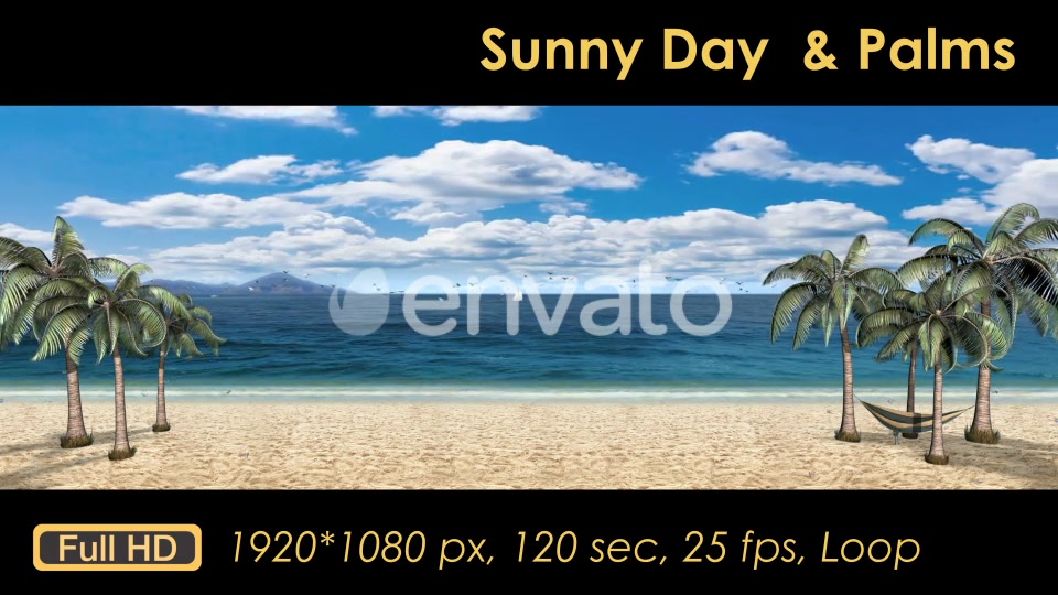 Sunny Day Palm Trees On The Beach Videohive 21608393 Motion Graphics Image 12