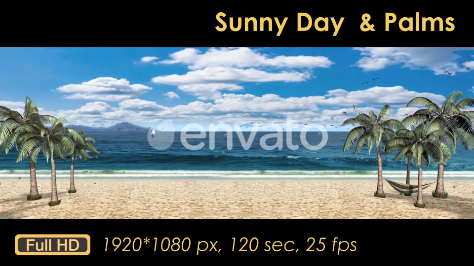 Sunny Day Palm Trees On The Beach Videohive 21608393 Motion Graphics Image 4