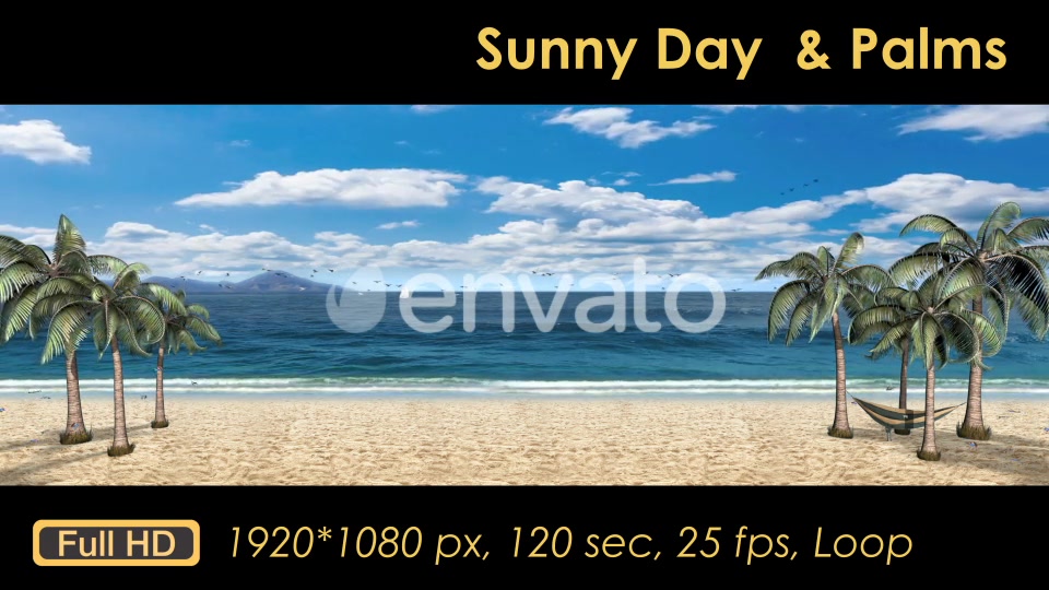 Sunny Day Palm Trees On The Beach Videohive 21608393 Motion Graphics Image 7