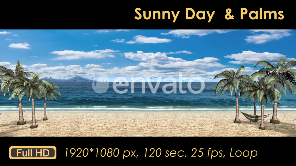 Sunny Day Palm Trees On The Beach Videohive 21608393 Motion Graphics Image 8