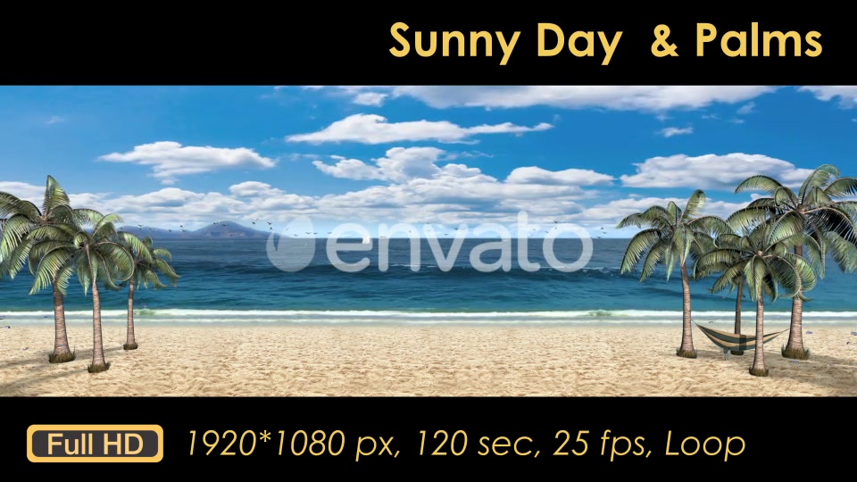 Sunny Day Palm Trees On The Beach Videohive 21608393 Motion Graphics Image 9