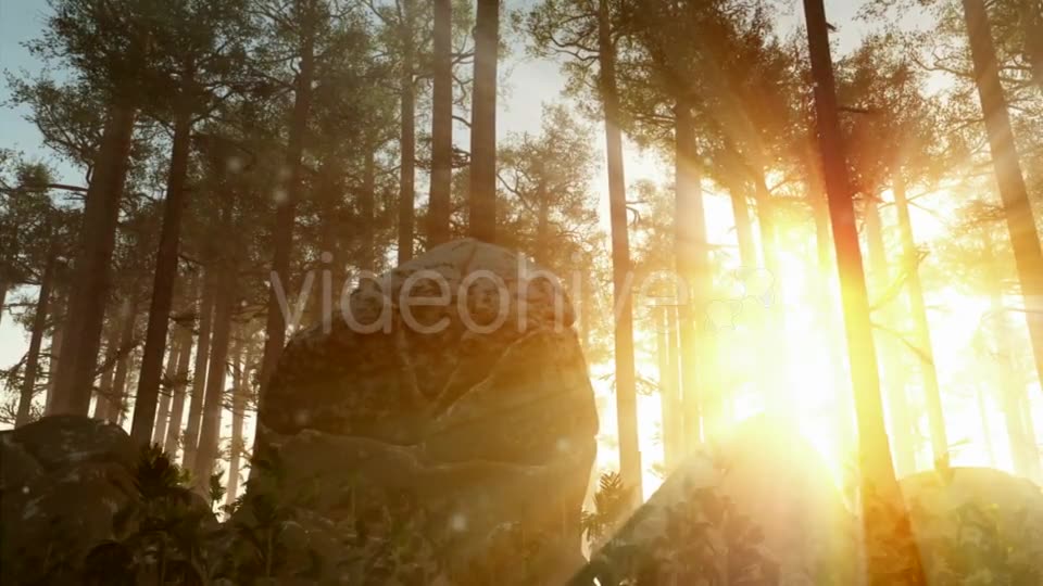 Sunrays Shining Through the Trees Videohive 19668259 Motion Graphics Image 2