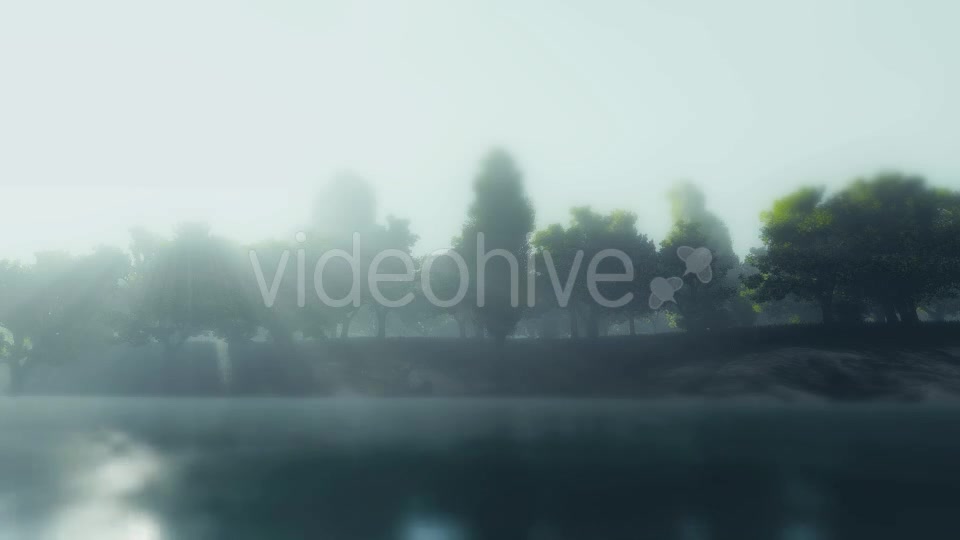Sunrise Nature River Forest Videohive 17456839 Motion Graphics Image 5