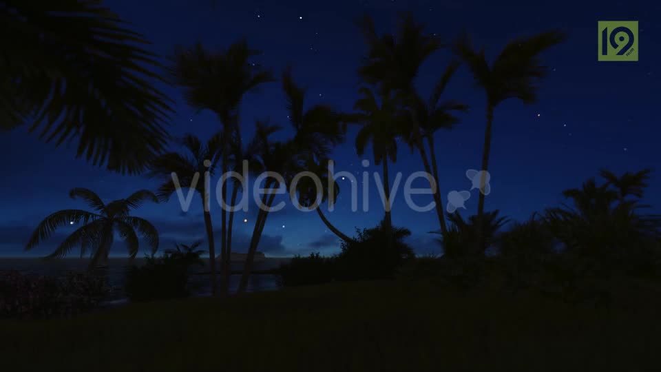 Sunrise with Palms Videohive 19975813 Motion Graphics Image 1