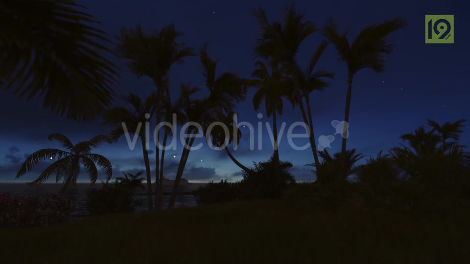 Sunrise with Palms Videohive 19975813 Motion Graphics Image 2