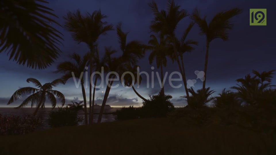 Sunrise with Palms Videohive 19975813 Motion Graphics Image 3
