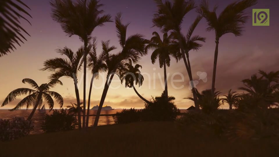 Sunrise with Palms Videohive 19975813 Motion Graphics Image 5