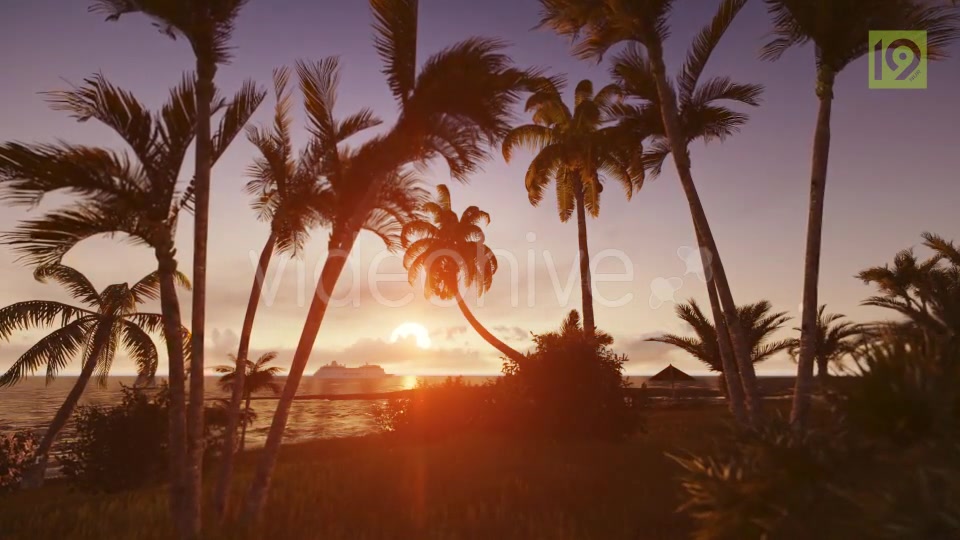 Sunrise with Palms Videohive 19975813 Motion Graphics Image 9