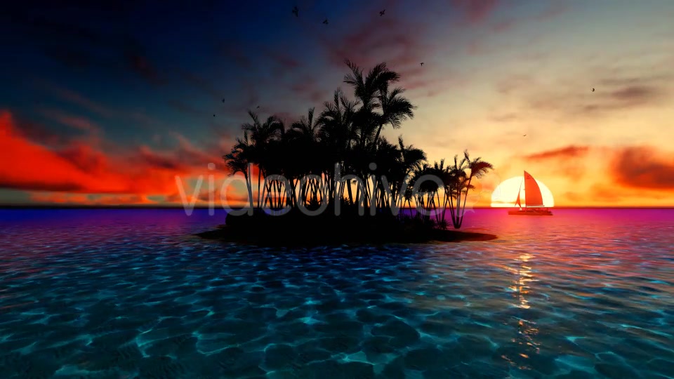Sunset Palm Island Videohive 19538808 Motion Graphics Image 3
