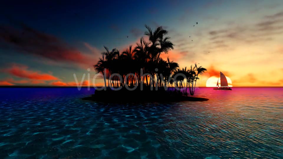 Sunset Palm Island Videohive 19538808 Motion Graphics Image 4
