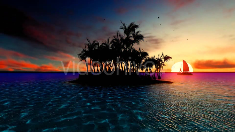 Sunset Palm Island Videohive 19538808 Motion Graphics Image 6