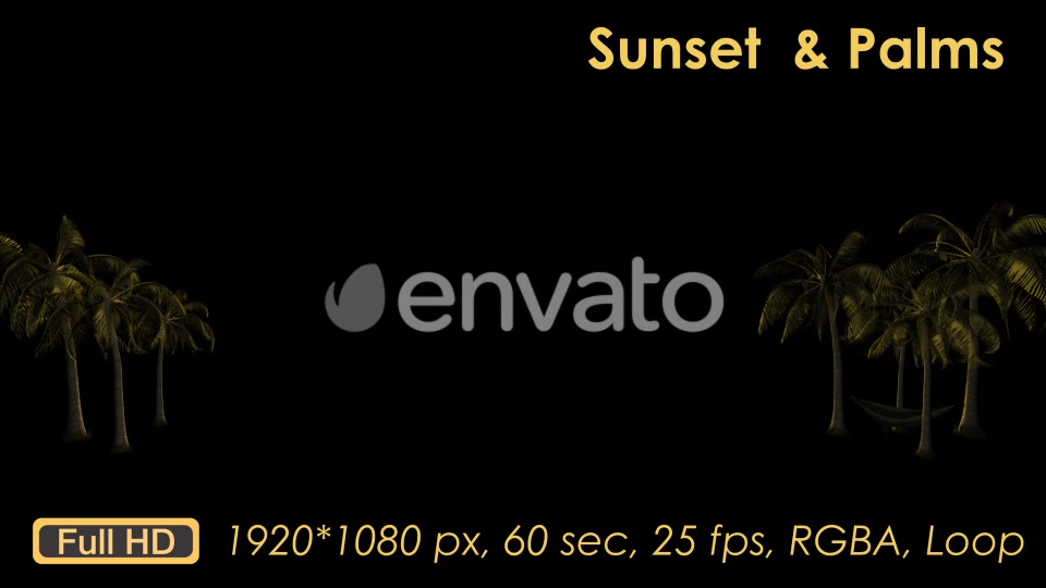 Sunset Palm Trees Videohive 21608388 Motion Graphics Image 10