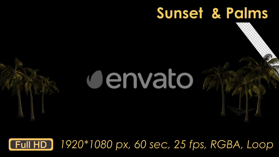 Sunset Palm Trees Videohive 21608388 Motion Graphics Image 11