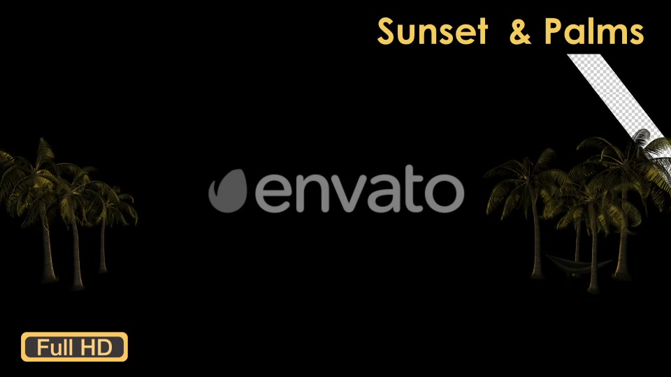 Sunset Palm Trees Videohive 21608388 Motion Graphics Image 3