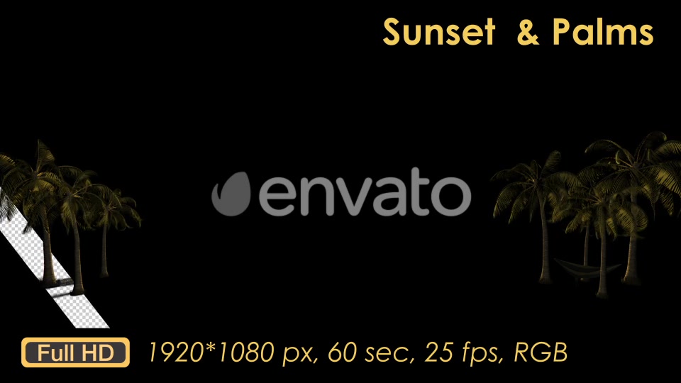 Sunset Palm Trees Videohive 21608388 Motion Graphics Image 4
