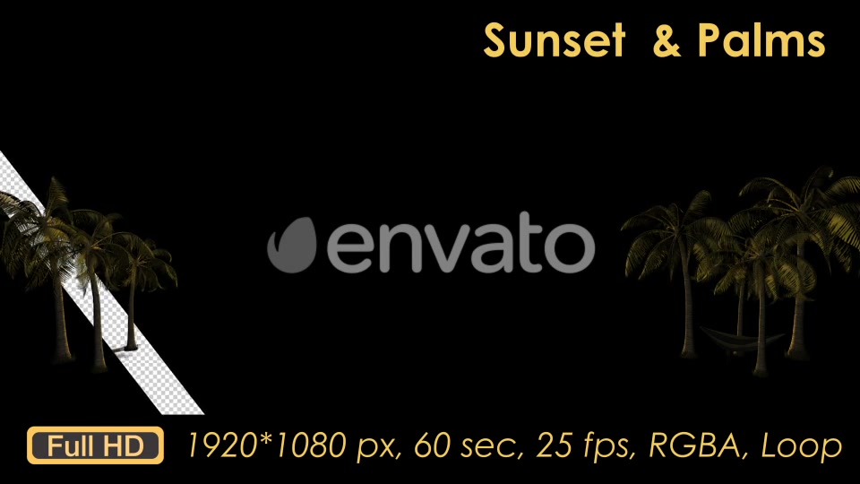 Sunset Palm Trees Videohive 21608388 Motion Graphics Image 5