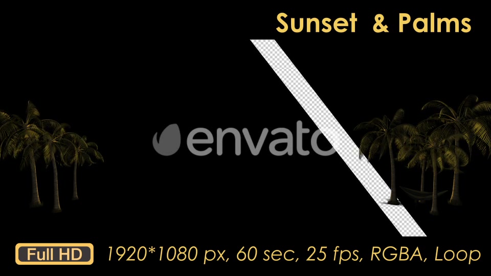 Sunset Palm Trees Videohive 21608388 Motion Graphics Image 6