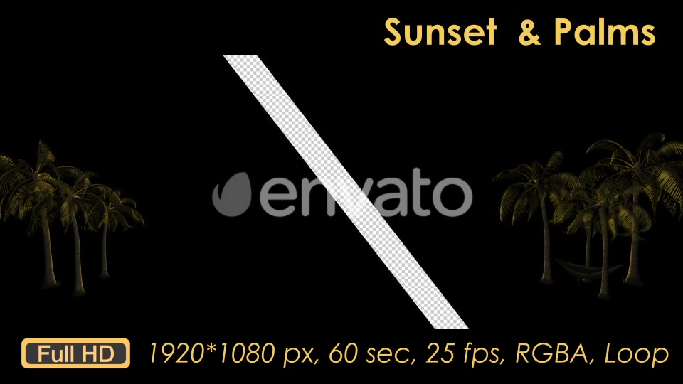 Sunset Palm Trees Videohive 21608388 Motion Graphics Image 7