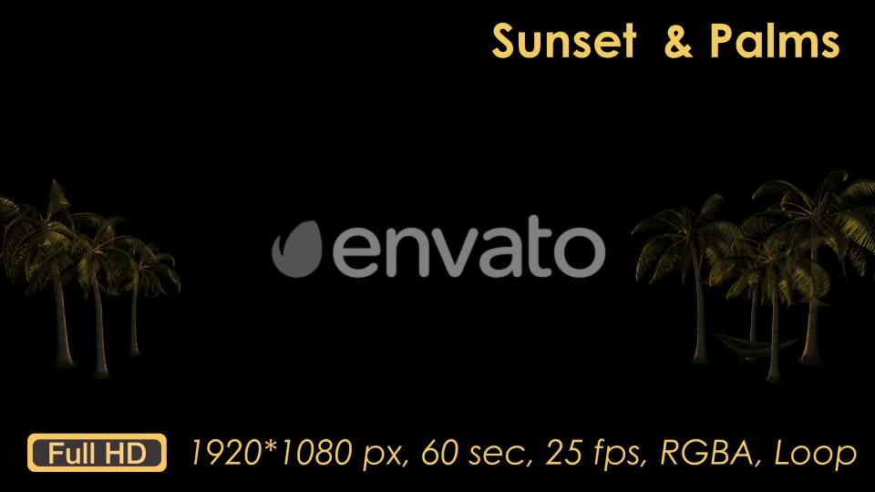 Sunset Palm Trees Videohive 21608388 Motion Graphics Image 8