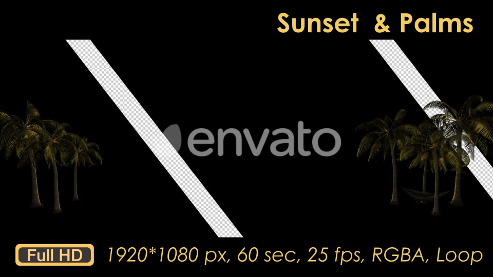 Sunset Palm Trees Videohive 21608388 Motion Graphics Image 9