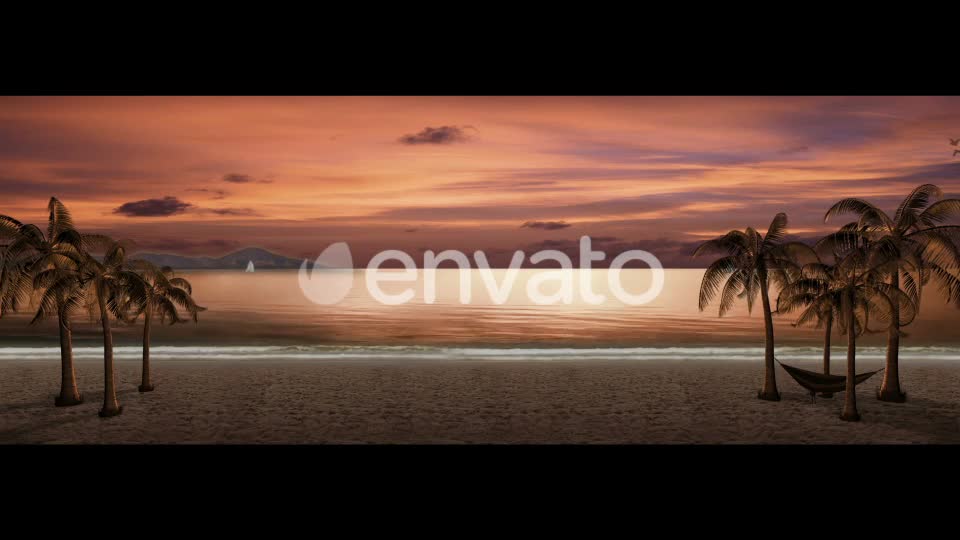 Sunset Palm Trees On The Beach Videohive 21608400 Motion Graphics Image 1