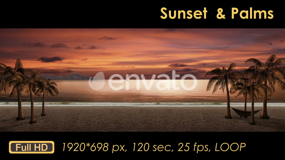 Sunset Palm Trees On The Beach Videohive 21608400 Motion Graphics Image 10