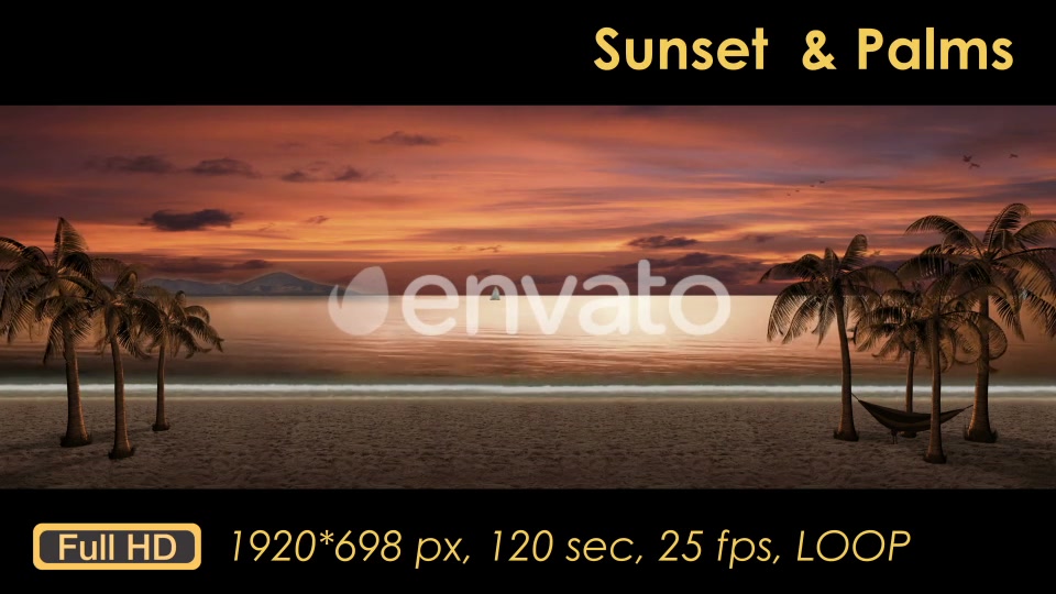 Sunset Palm Trees On The Beach Videohive 21608400 Motion Graphics Image 11