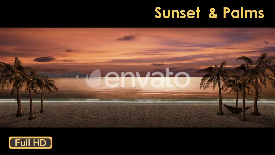 Sunset Palm Trees On The Beach Videohive 21608400 Motion Graphics Image 2