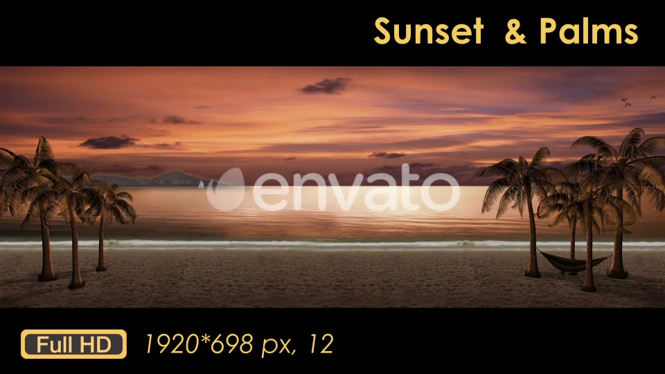 Sunset Palm Trees On The Beach Videohive 21608400 Motion Graphics Image 3