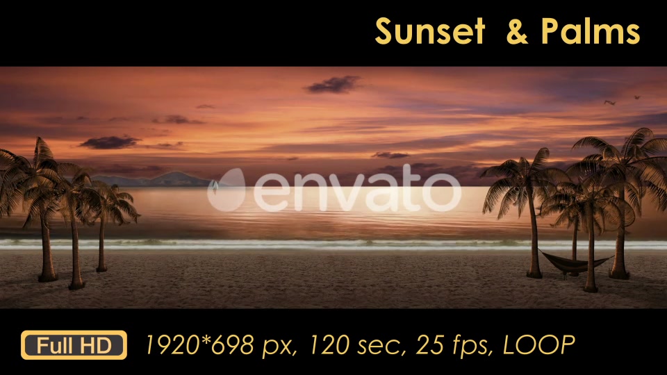 Sunset Palm Trees On The Beach Videohive 21608400 Motion Graphics Image 4