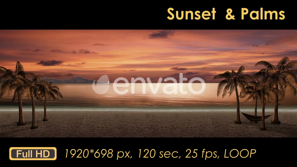 Sunset Palm Trees On The Beach Videohive 21608400 Motion Graphics Image 6