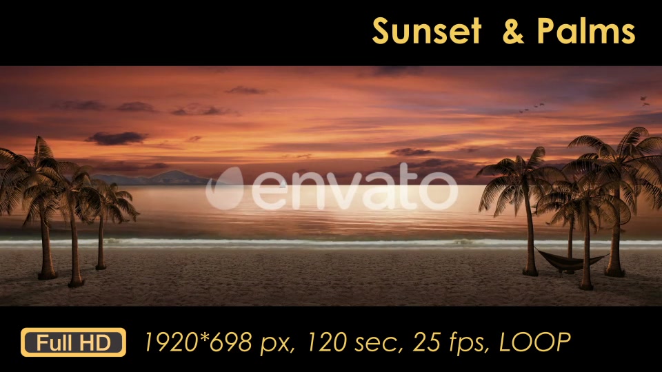 Sunset Palm Trees On The Beach Videohive 21608400 Motion Graphics Image 9