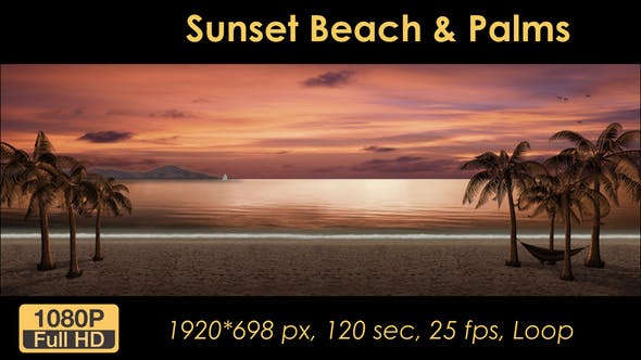 Sunset Palm Trees On The Beach - 21608400 Download Videohive