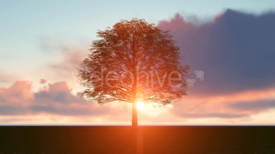 Sunset Tree Videohive 20018400 Motion Graphics Image 1