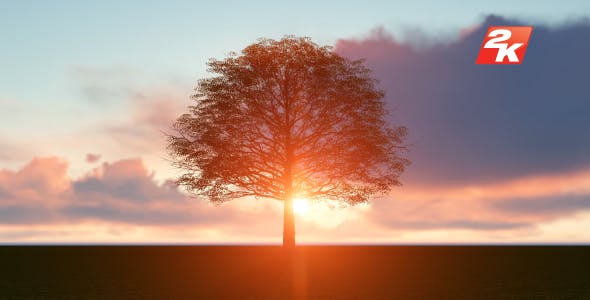 Sunset Tree - Download Videohive 20018400