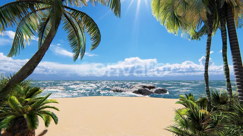 Sunshine Beach Palms Videohive 24265830 Motion Graphics Image 1