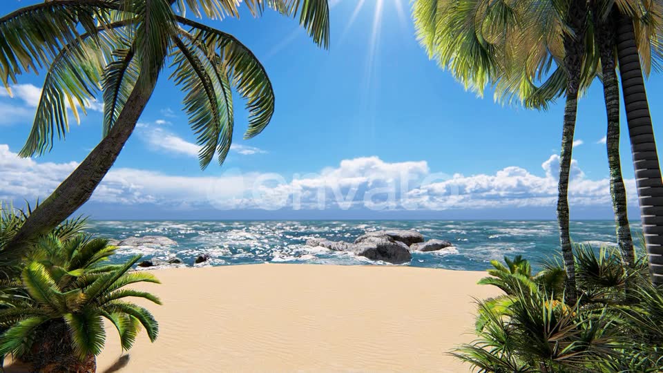 Sunshine Beach Palms Videohive 24265830 Motion Graphics Image 2