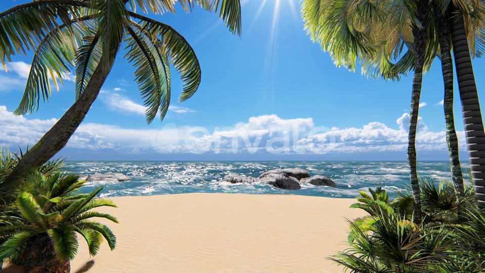 Sunshine Beach Palms Videohive 24265830 Motion Graphics Image 3