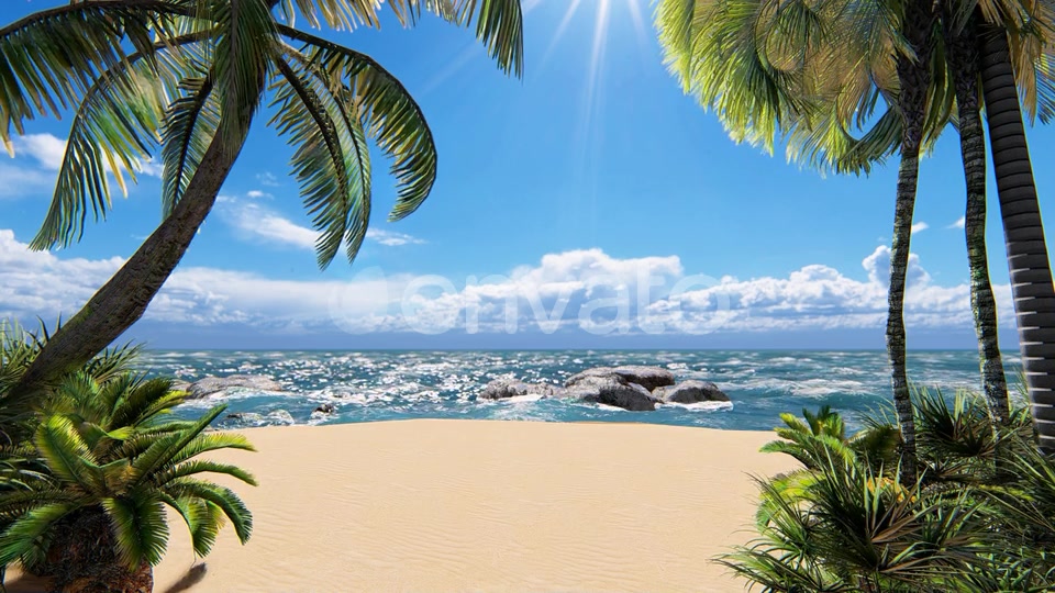 Sunshine Beach Palms Videohive 24265830 Motion Graphics Image 4