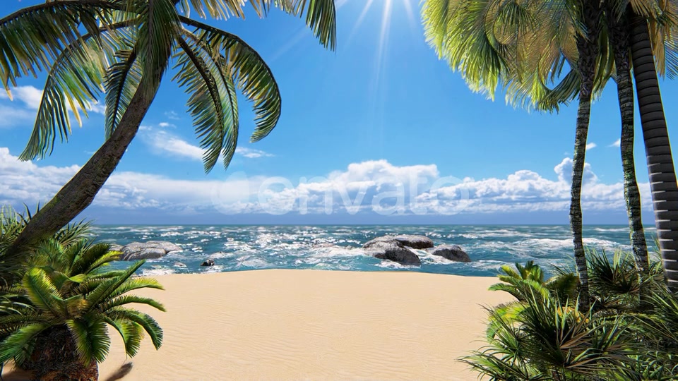 Sunshine Beach Palms Videohive 24265830 Motion Graphics Image 5