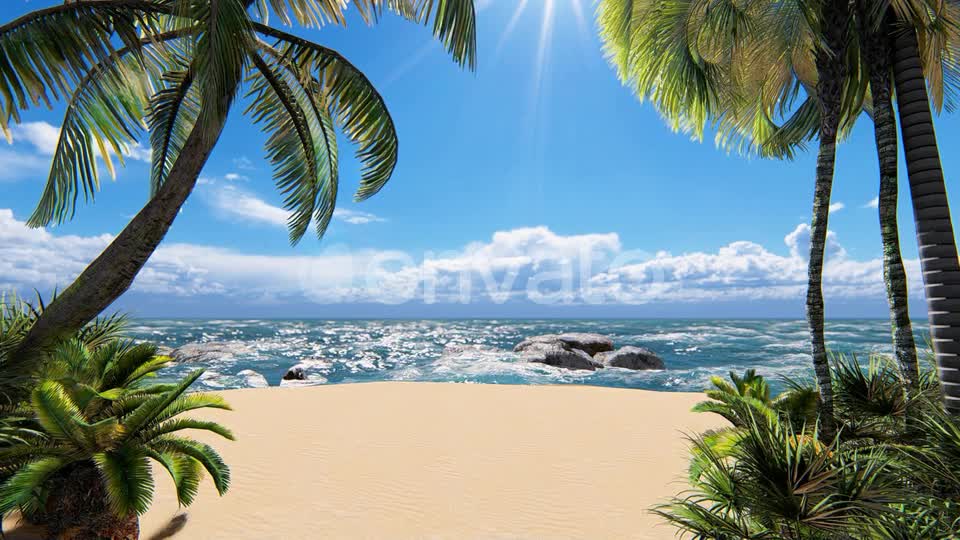 Sunshine Beach Palms Videohive 24265830 Motion Graphics Image 7