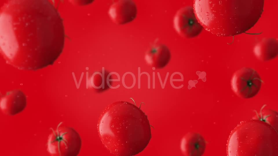 Super Clip Of Falling Red Tomatoes And Water Drops Against Red Background Videohive 17276195 Motion Graphics Image 1