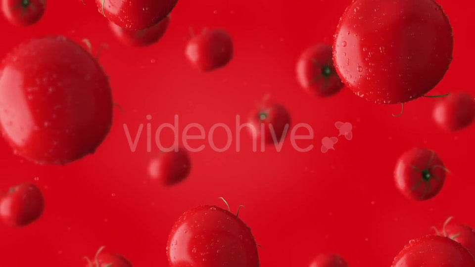 Super Clip Of Falling Red Tomatoes And Water Drops Against Red Background Videohive 17276195 Motion Graphics Image 2