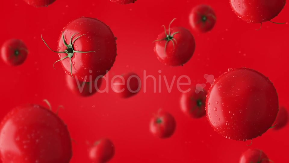 Super Clip Of Falling Red Tomatoes And Water Drops Against Red Background Videohive 17276195 Motion Graphics Image 5