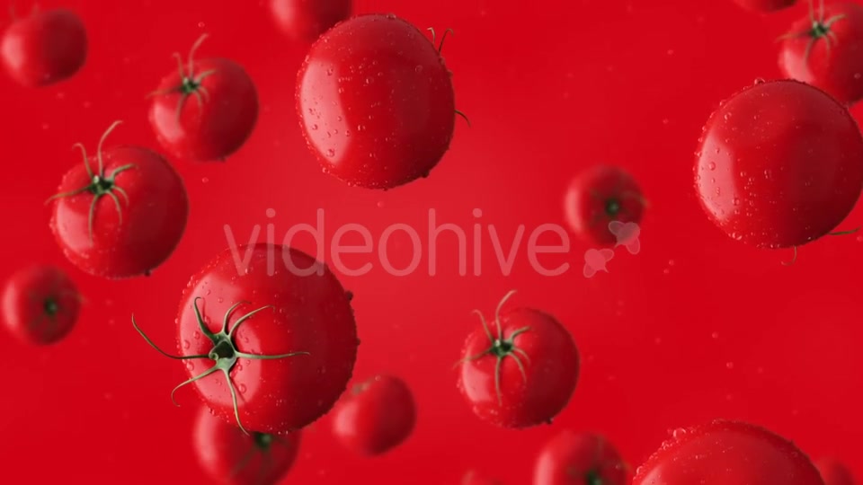 Super Clip Of Falling Red Tomatoes And Water Drops Against Red Background Videohive 17276195 Motion Graphics Image 8