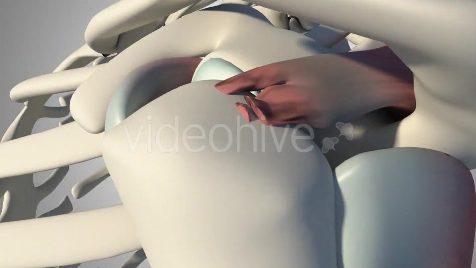 Surgical Treatment For The Rotator Cuff Tear Videohive 20535545 Motion Graphics Image 3
